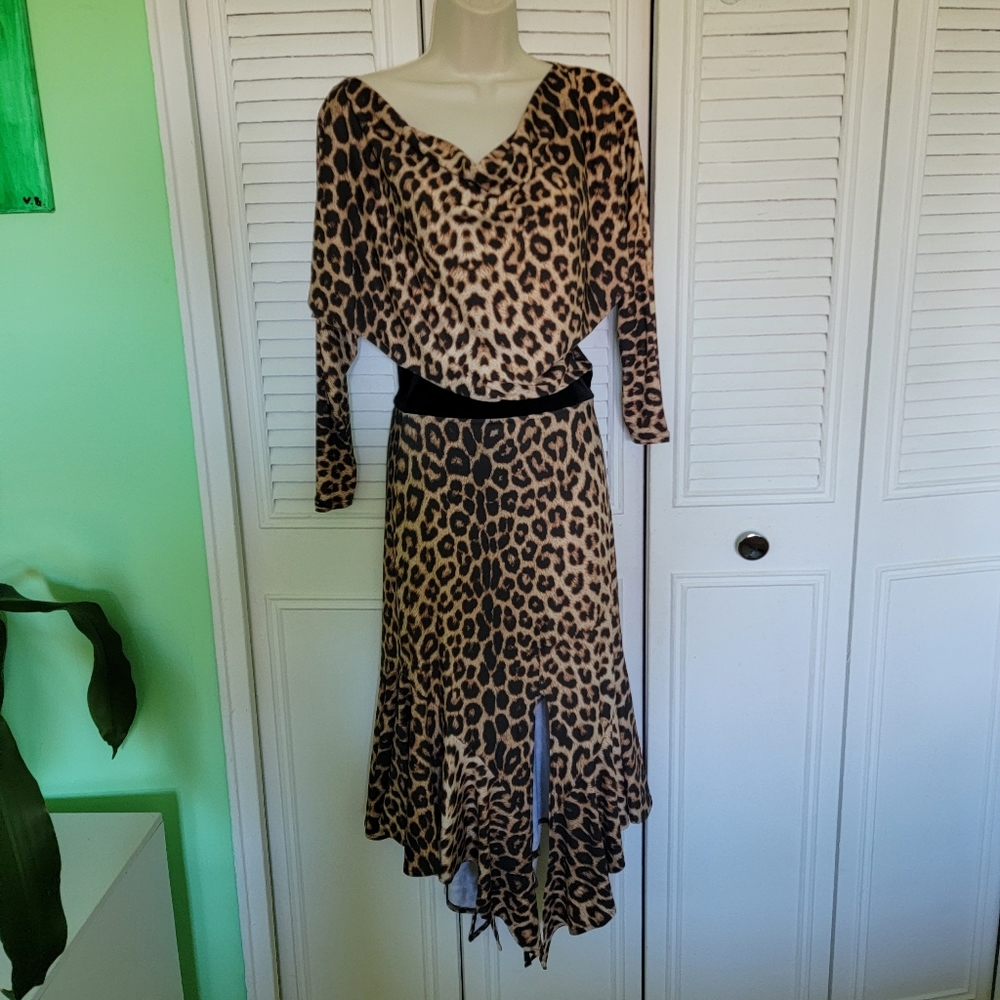 Chrisanne Clover Ballroom Latin Animal Print Leopard Dress sz Medium